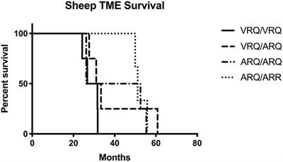 Sheep Are Susceptible to the Bovine Adapted Transmissible Mink Encephalopathy Agent by Intracranial Inoculation and Have Evidence of Infectivity in Lymphoid Tissues